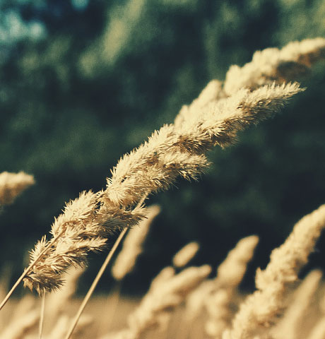 免费DDOS攻击测试工具