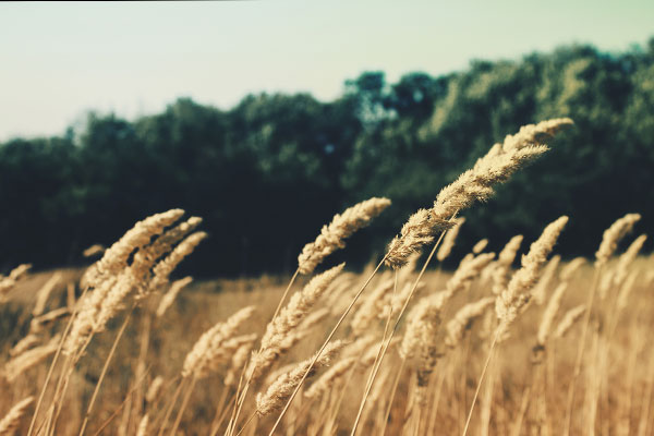 免费DDOS攻击测试工具